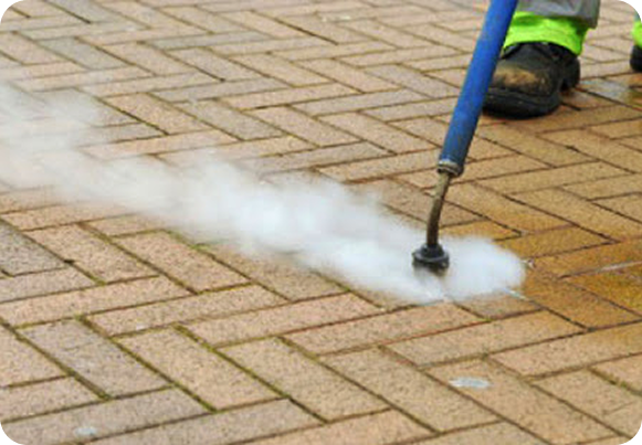 Gum Removal